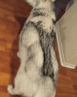 4670649.gif