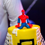 pic-429