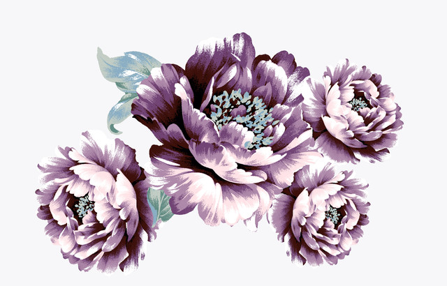shutterstock 792728041.jpg