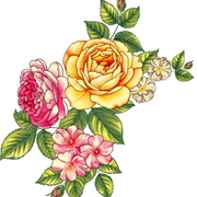 6ac104cc37cc6b20e4b48bfd5bbc40c8