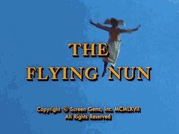 danko show The Flying Nun.png