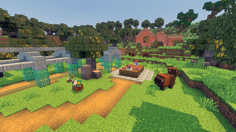 Image 11