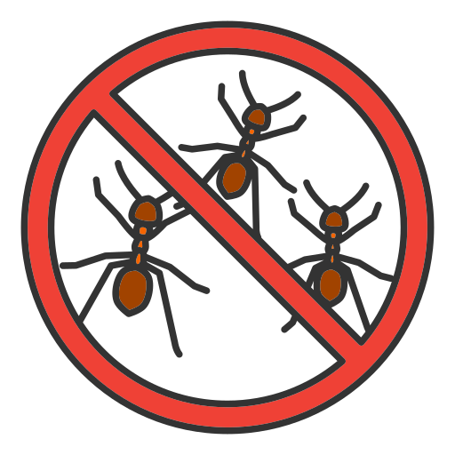 Semut (Ant)