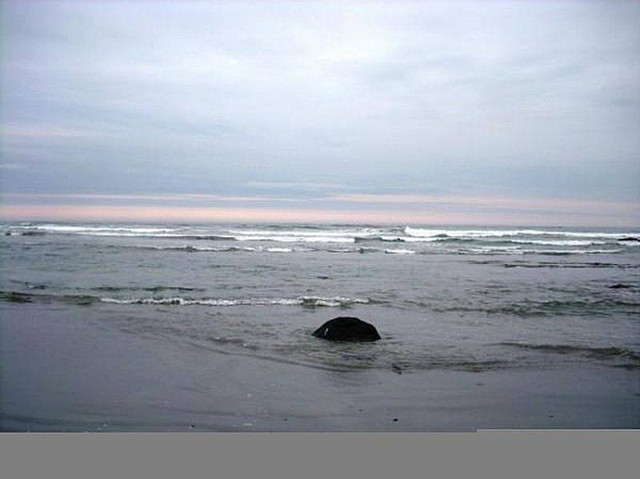 IMG 0230