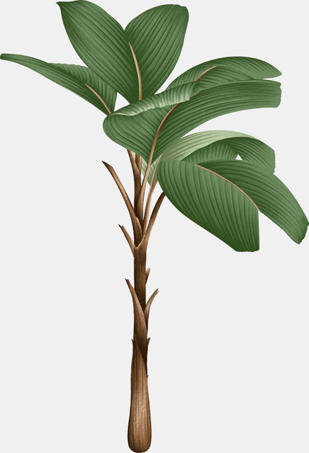shutterstock 2068060262.jpg
