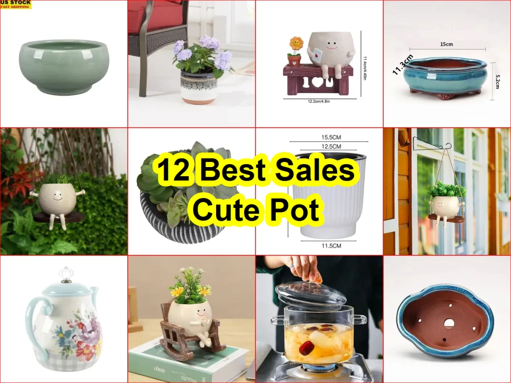 可愛的小盆 評價