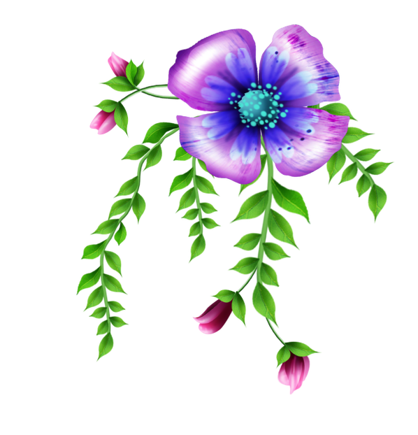 image.png