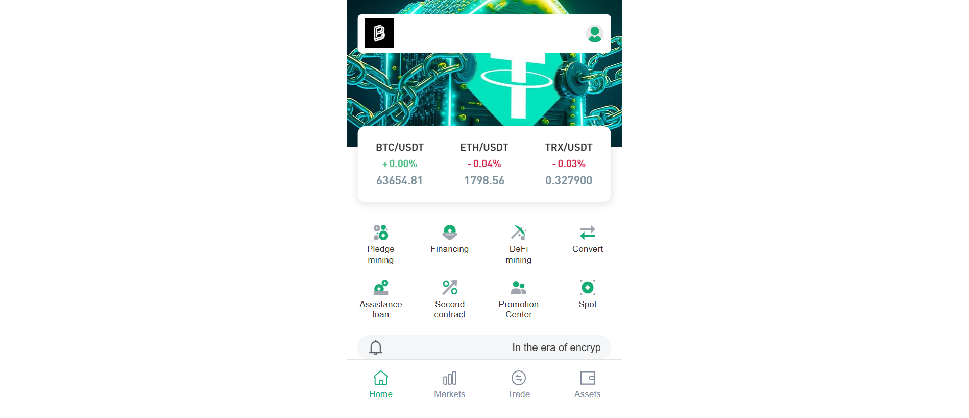 Forensic screenshot of [REDACTED] showing the phishing page layout