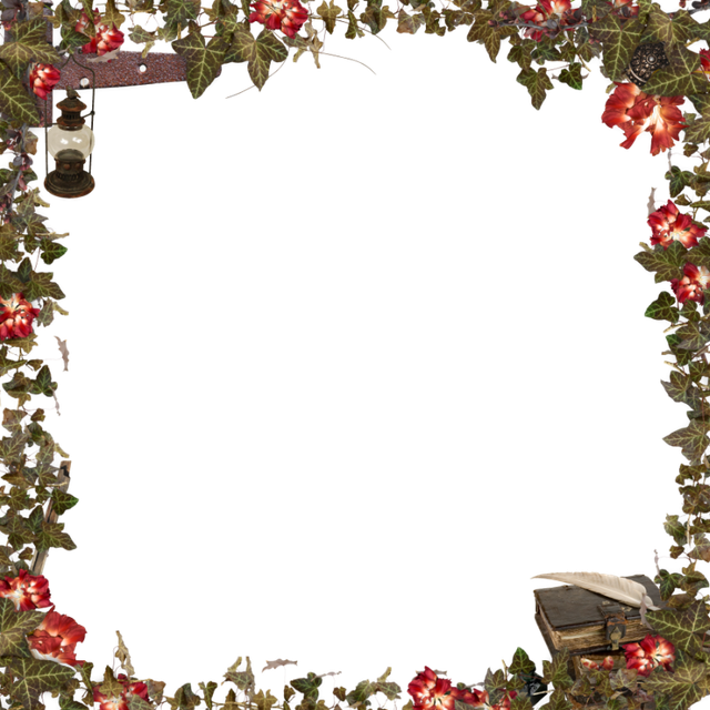 cluster-frame-51