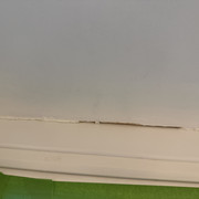 IMG 9339