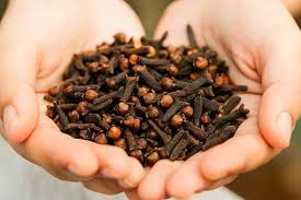Clove