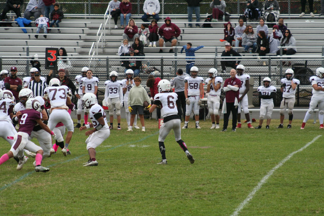 IMG-0306.jpg