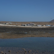 DSCF8340