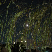 2012-01-03-03