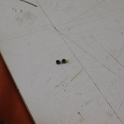 DSCN1489