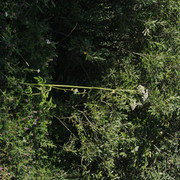 DSC5312-result