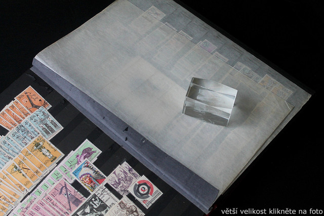 IMG-7002.jpg