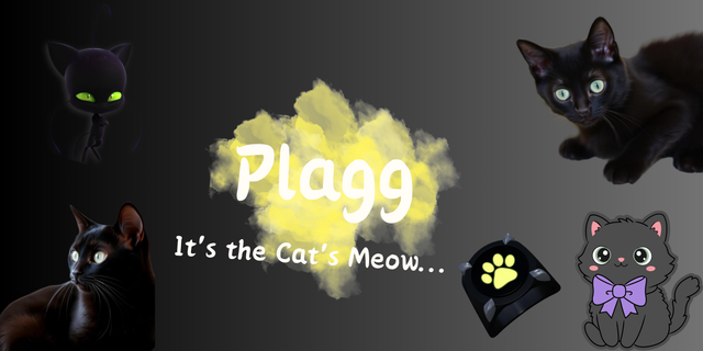 Plagg