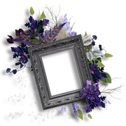 cluster-frame-215