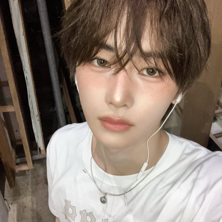 Anxin - ALD1