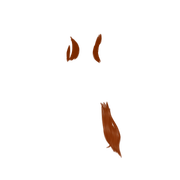 Ruivo 1 (trás)