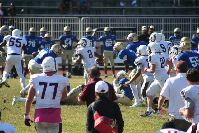 IMG-1034.jpg
