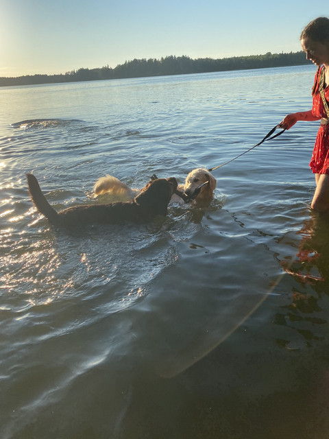 606-EDEF3-B502-42-C0-BAF3-FC4-E1-CC4-ABA