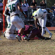 IMG-5017