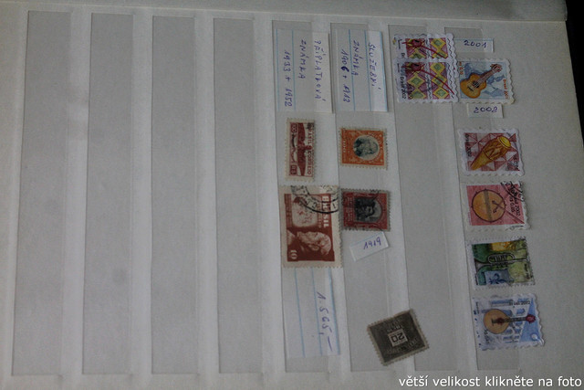 IMG-3235.jpg