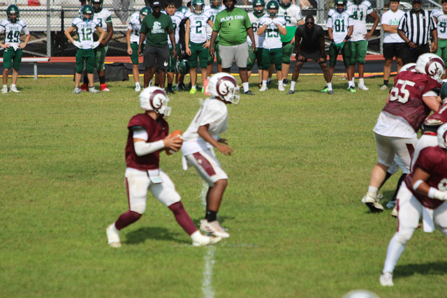 IMG-1416
