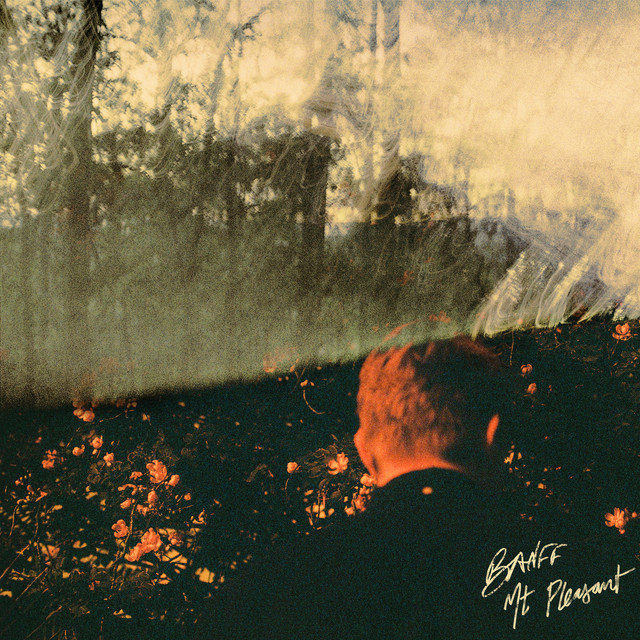 Mt-Pleasant-cover-FINAL-medium