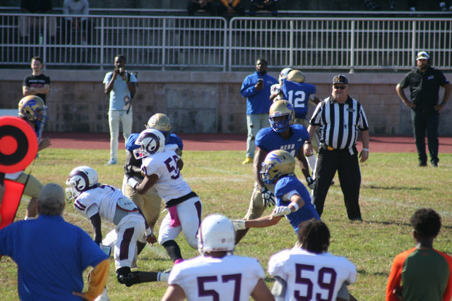 IMG-1215.jpg