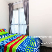 IMG 9167