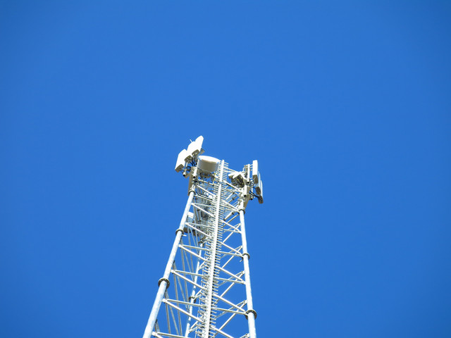IMG-3393