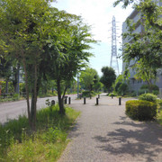 IMG 20260601 131348
