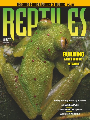 [Obrazek: Reptiles-September-October-2026.jpg]