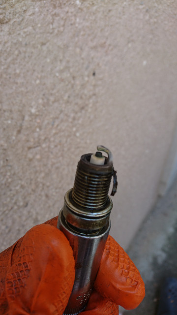 DSC-3131