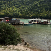 IMG-1618