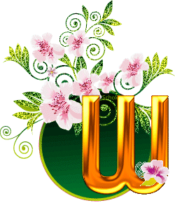 w.gif