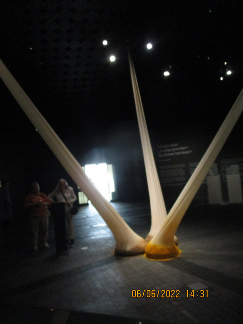 IMG-4077