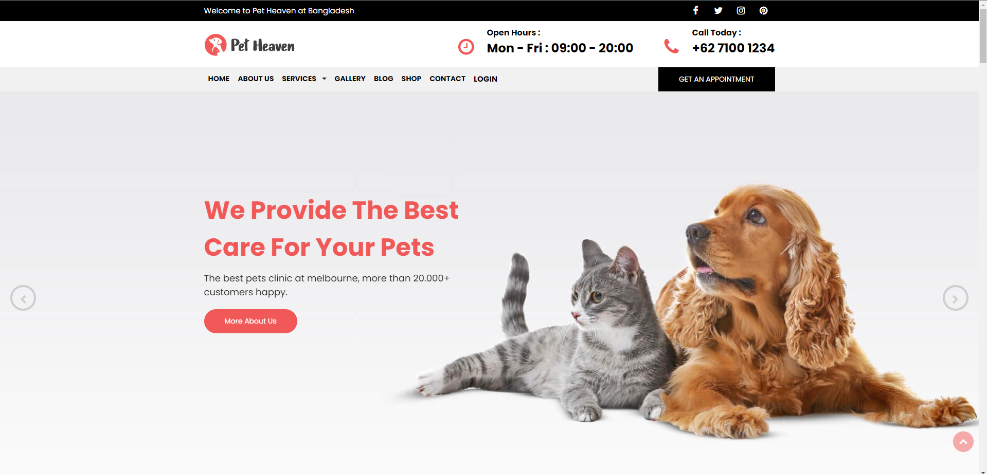 Github protikkpaul pet heaven