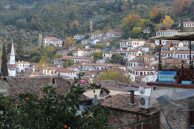IMG-6269