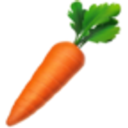 carrot-1f955
