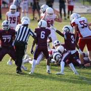 IMG-2043