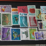 IMG-3797