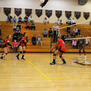 IMG-0020