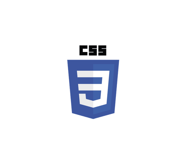 CSS5-Partner-logo