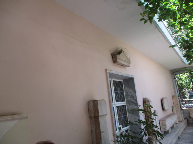 IMG-7600