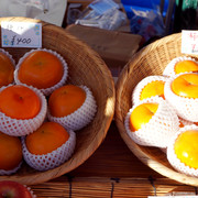 DSC05000