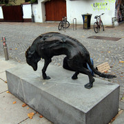 IMG-9994